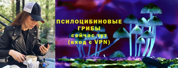 соль курить ск Алзамай